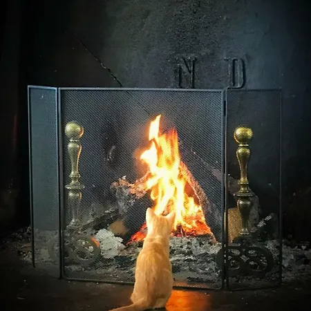 Chateau Fengari * Clérac